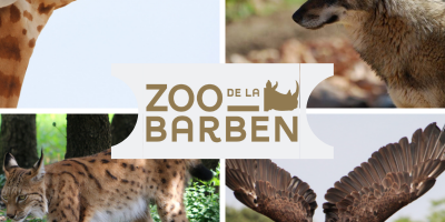 Zoo de la Barben 81km/1h